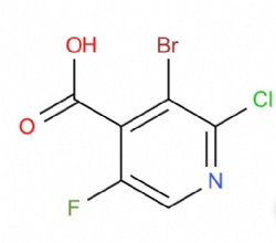 3-bromo-2-chloro-5-fluoroisonicotinic acid