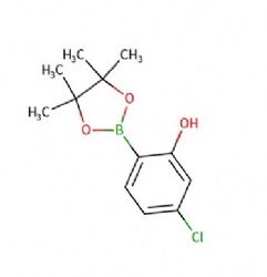 5-chloro-2-(4,4,5,5-tetramethyl-1,3,2-dioxaborolan-2-yl)pheno