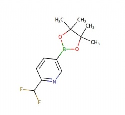 2-(difluoromethyl)-5-(4,4,5,5-tetramethyl-1,3,2-dioxaborolan-2-yl)pyridin