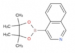 4-(4,4,5,5-tetramethyl-1,3,2-dioxaborolan-2-yl)isoquinoline