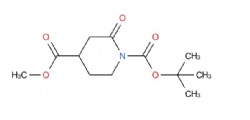 O1-tert-butyl O4-methyl 2-oxopiperidine-1,4-dicarboxylate