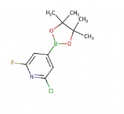 2-chloro-6-fluoro-4-(4,4,5,5-tetramethyl-1,3,2-dioxaborolan-2-yl)pyridine