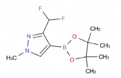 3-(difluoromethyl)-1-methyl-4-(4,4,5,5-tetramethyl-1,3,2-dioxaborolan-2-yl)-1H-pyrazole