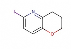6-iodo-3,4-dihydro-2H-pyrano[3,2-b]pyridine