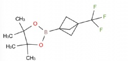 4,4,5,5-tetramethyl-2-(3-(trifluoromethyl)bicyclo[1.1.1]pentan-1-yl)-1,3,2-dioxaborolane