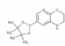 7-(4,4,5,5-tetramethyl-1,3,2-dioxaborolan-2-yl)-2,3-dihydro-1H-pyrido[2,3-b][1,4]oxazine