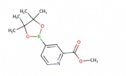 methyl 4-(4,4,5,5-tetramethyl-1,3,2-dioxaborolan-2-yl)picolinate