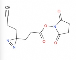 2,5-dioxopyrrolidin-1-yl 3-(3-(but-3-yn-1-yl)-3H-diazirin-3-yl)propanoate