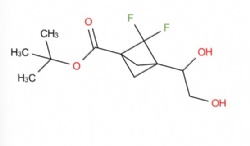 tert-butyl 3-(1,2-dihydroxyethyl)-2,2-difluorobicyclo[1.1.1]pentane-1-carboxylate