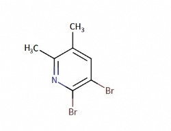2,3-dibromo-5,6-dimethylpyridine