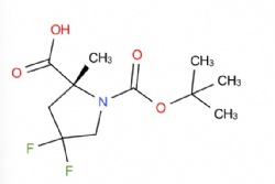 (R)-1-(tert-Butoxycarbonyl)-4,4-difluoro-2-methylpyrrolidine-2-carboxylic acid