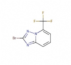 2-bromo-5-(trifluoromethyl)-[1,2,4]triazolo[1,5-a]pyridine