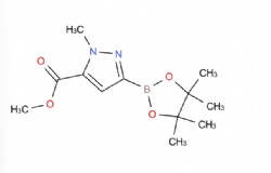 methyl 1-methyl-3-(4,4,5,5-tetramethyl-1,3,2-dioxaborolan-2-yl)-1H-pyrazole-5-carboxylate