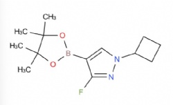 1-cyclobutyl-3-fluoro-4-(4,4,5,5-tetramethyl-1,3,2-dioxaborolan-2-yl)-1H-pyrazole