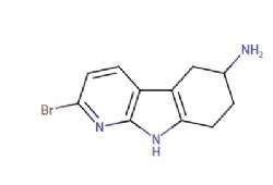 2-bromo-6,7,8,9-tetrahydro-5H-pyrido[2,3-b]indol-6-amine