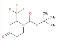 tert-butyl 4-oxo-2-(trifluoromethyl)piperidine-1-carboxylate