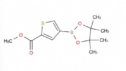 methyl 4-(4,4,5,5-tetramethyl-1,3,2-dioxaborolan-2-yl)thiophene-2-carboxylate