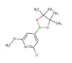 2-chloro-6-methoxy-4-(4,4,5,5-tetramethyl-1,3,2-dioxaborolan-2-yl)pyridine