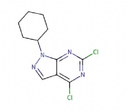 4,6-dichloro-1-cyclohexyl-1H-pyrazolo[3,4-d]pyrimidine