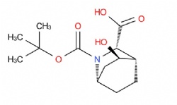 (1S,3S,4S,5R)-2-tert-butoxycarbonyl-5-hydroxy-2-azabicyclo[2.2.2]octane-3-carboxylic acid