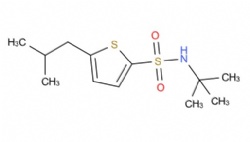 N-(tert-butyl)-5-isobutylthiophene-2-sulfonamide