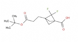 3-(3-(tert-butoxy)-3-oxopropyl)-2,2-difluorobicyclo[1.1.1]pentane-1-carboxylic acid