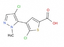5-chloro-4-(4-chloro-1-methyl-1H-pyrazol-5-yl)thiophene-2-carboxylic acid