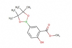 methyl 2-hydroxy-5-(4,4,5,5-tetramethyl-1,3,2-dioxaborolan-2-yl)benzoate