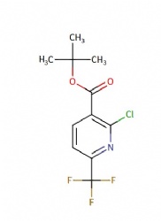 tert-butyl 2-chloro-6-(trifluoromethyl)nicotinate