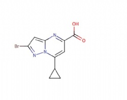 2-bromo-7-cyclopropylpyrazolo[1,5-a]pyrimidine-5-carboxylic acid