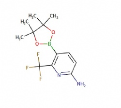 5-(4,4,5,5-tetramethyl-[1,3,2]dioxaborolan-2-yl)-6-trifluoromethyl-pyridin-2-ylamine