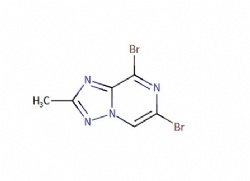 6,8-dibromo-2-methyl-[1,2,4]triazolo[1,5-a]pyrazine