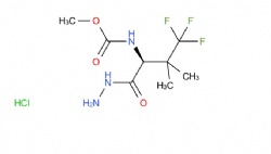 methyl (S)-(4,4,4-trifluoro-1-hydrazinyl-3,3-dimethyl-1-oxobutan-2-yl)carbamate hydrochloride