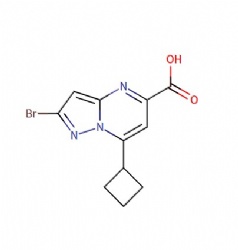 2-bromo-7-cyclobutylpyrazolo[1,5-a]pyrimidine-5-carboxylic acid