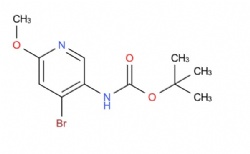 tert-butyl (4-bromo-6-methoxypyridin-3-yl)carbamate