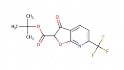 tert-butyl 3-oxo-6-(trifluoromethyl)-2,3-dihydrofuro[2,3-b]pyridine-2-carboxylate