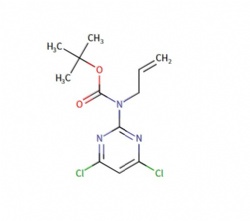 tert-butyl allyl(4,6-dichloropyrimidin-2-yl)carbamate