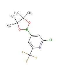 2-chloro-4-(4,4,5,5-tetramethyl-1,3,2-dioxaborolan-2-yl)-6-(trifluoromethyl)pyridine