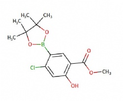 methyl 4-chloro-2-hydroxy-5-(4,4,5,5-tetramethyl-1,3,2-dioxaborolan-2-yl)benzoate
