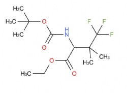 ethyl 2-((tert-butoxycarbonyl)amino)-4,4,4-trifluoro-3,3-dimethylbutanoate