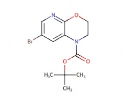 tert-butyl 7-bromo-2,3-dihydro-1H-pyrido[2,3-b][1,4]oxazine-1-carboxylate