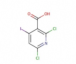 2,6-dichloro-4-iodonicotinic acid