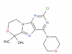 2-chloro-6,6-dimethyl-4-morpholino-8,9-dihydro-6H-[1,4]oxazino[4,3-e]purine