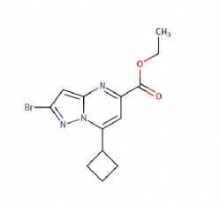 ethyl 2-bromo-7-cyclobutylpyrazolo[1,5-a]pyrimidine-5-carboxylate