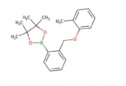 4,4,5,5-tetramethyl-2-(2-((o-tolyloxy)methyl)phenyl)-1,3,2-dioxaborolane