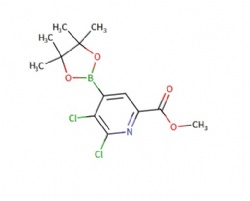 methyl 5,6-dichloro-4-(4,4,5,5-tetramethyl-1,3,2-dioxaborolan-2-yl)picolinate
