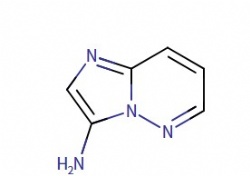 Imidazo[1,2-b]pyridazin-3-amine