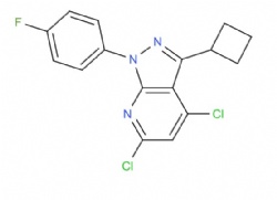 4,6-dichloro-3-cyclobutyl-1-(4-fluorophenyl)-1H-pyrazolo[3,4-b]pyridine