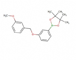 2-(3-((3-methoxybenzyl)oxy)phenyl)-4,4,5,5-tetramethyl-1,3,2-dioxaborolane