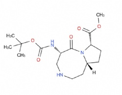 methyl (5S,8S,10aR)-5-((tert-butoxycarbonyl)amino)-6-oxodecahydropyrrolo[1,2-a][1,5]diazocine-8-carboxylate